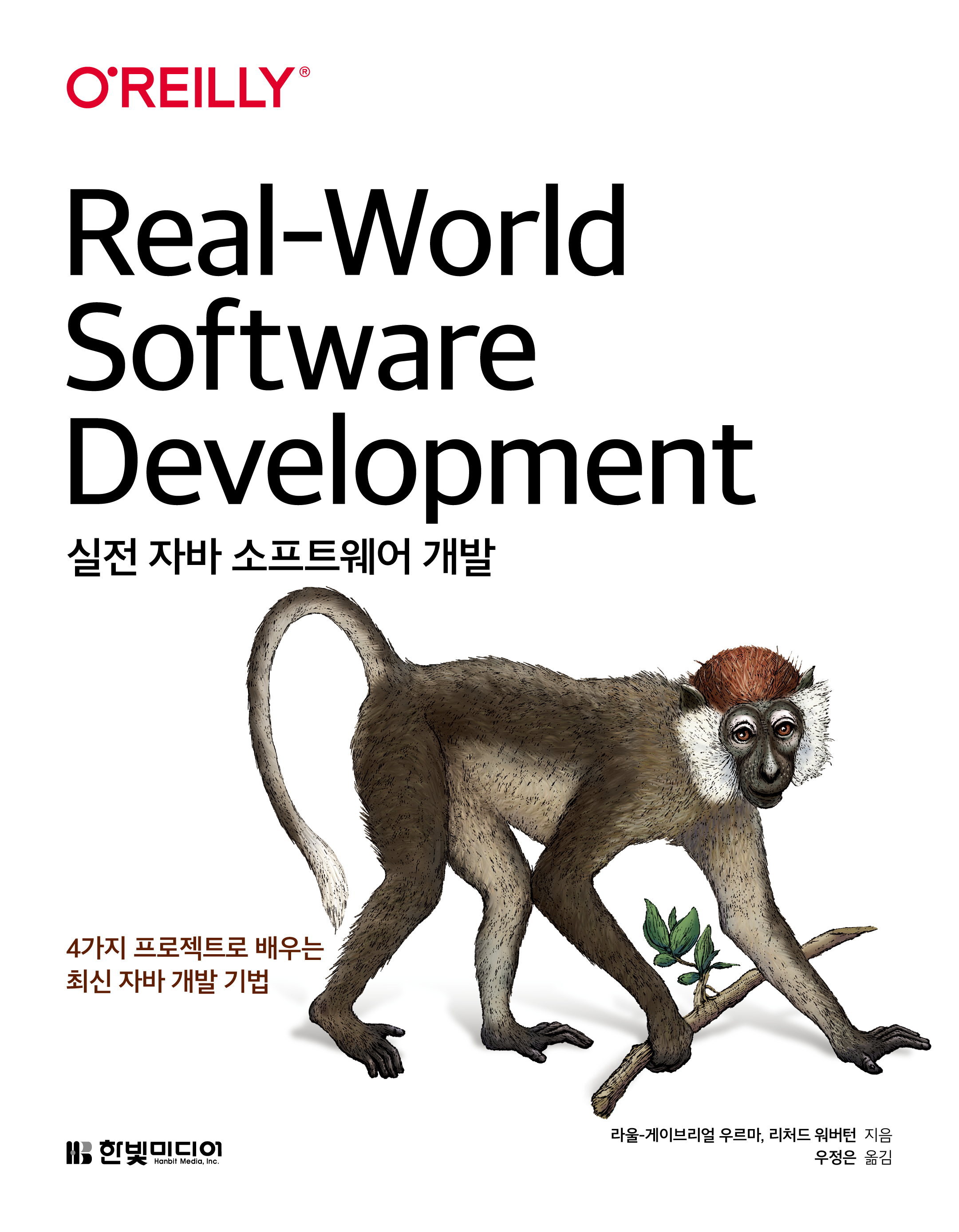 실전 자바 소프트웨어 개발: 4가지 프로젝트로 배우는 최신 자바 개발 기법